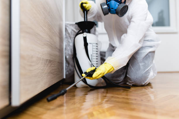 Best Affordable Pest Control Services  in St Stephen, SC