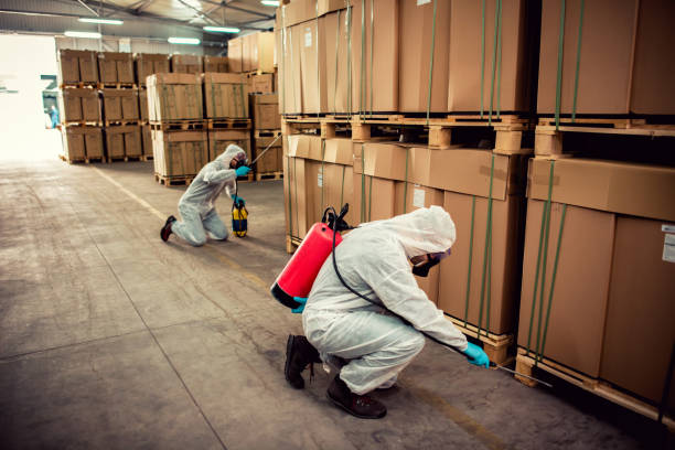 Best Best Pest Control Companies  in St Stephen, SC