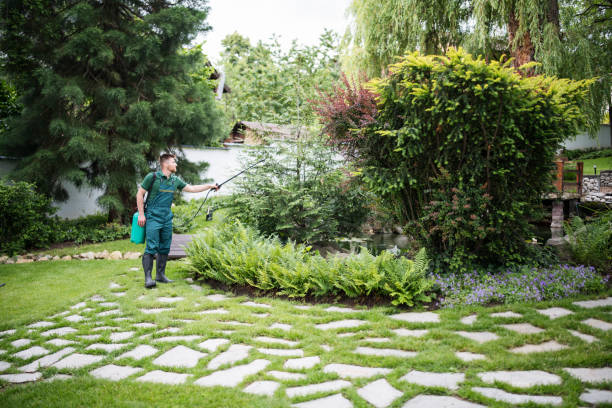 Best Commercial Pest Control Services  in St Stephen, SC