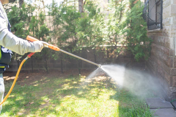 Reliable St Stephen, SC Pest Control Solutions